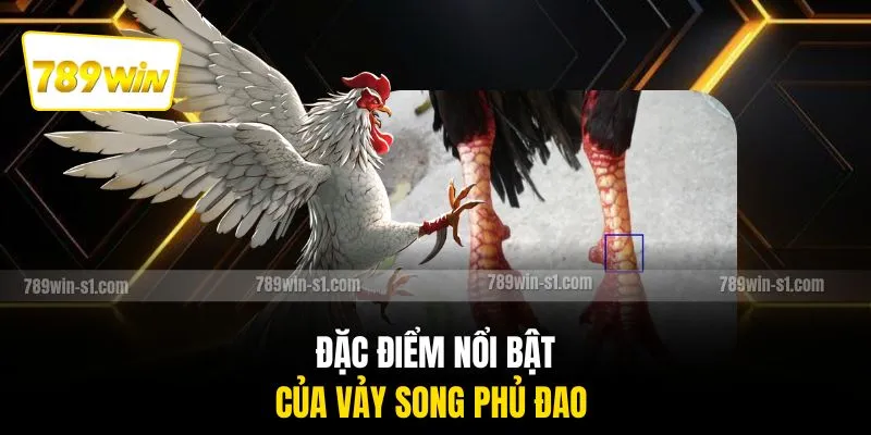 Đặc điểm nổi bật của vảy song phủ đao